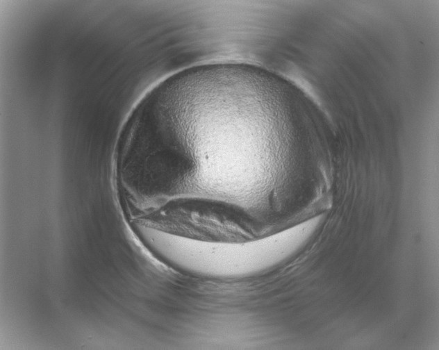 X0000070191468200606091520