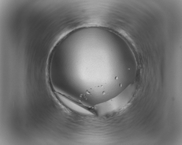 X0000070191469200606091520