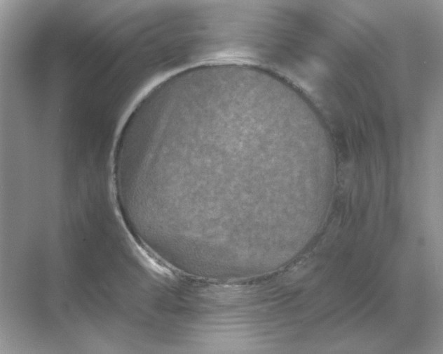 X0000070191470200606091520