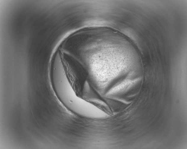 X0000070191472200606091520