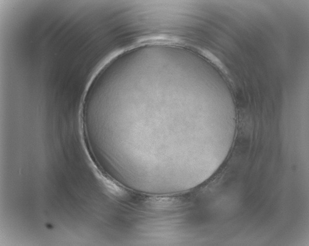 X0000070191474200606091520