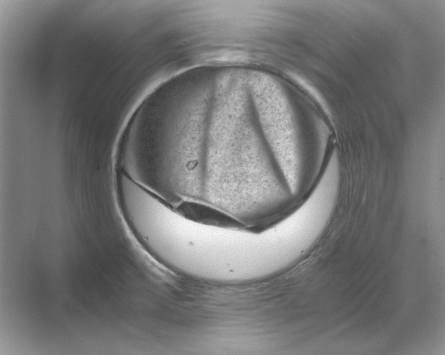 X0000070191475200606091520