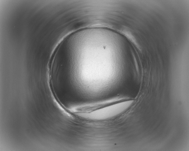 X0000070191476200606091520