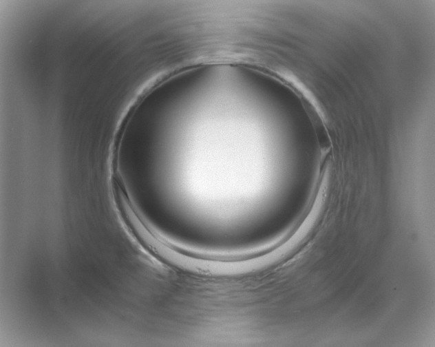 X0000070191477200606091520