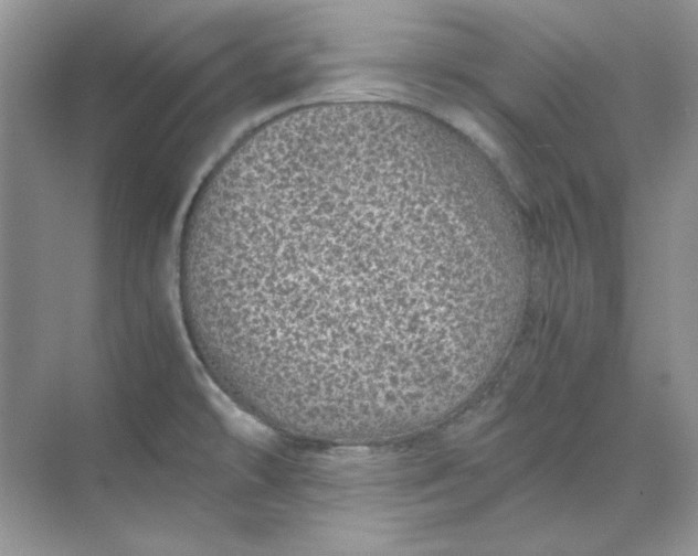 X0000070191478200606091520