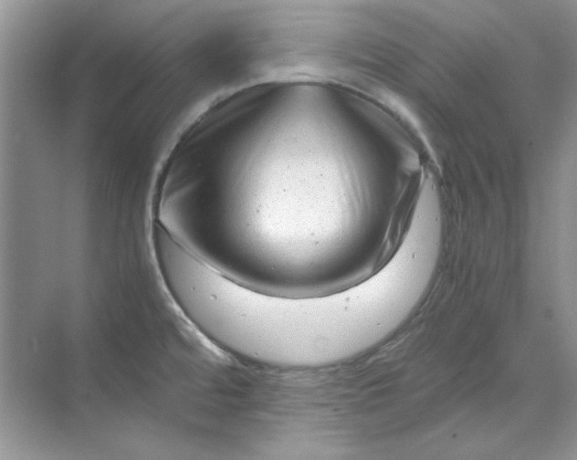 X0000070191480200606091520