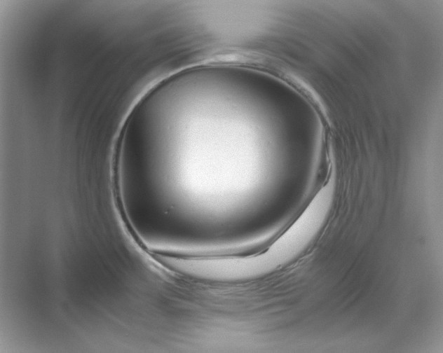 X0000070191483200606091519