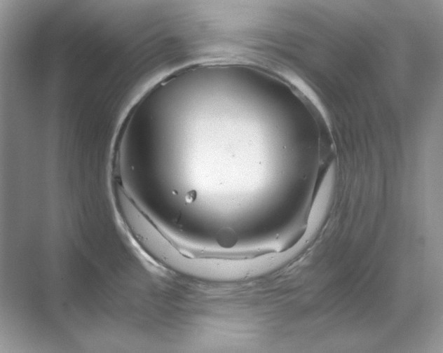 X0000070191485200606091519