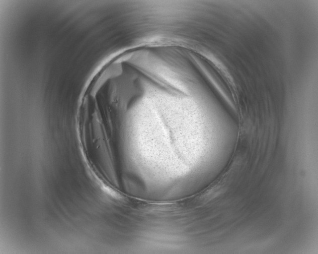 X0000070191486200606091519