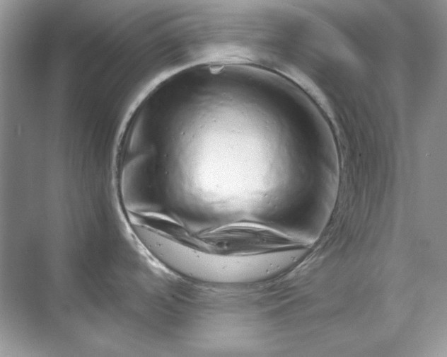 X0000070191488200606091519