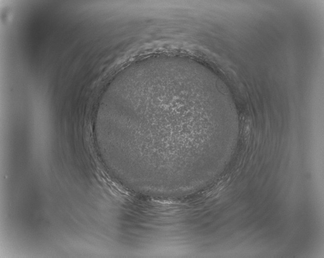 X0000070191489200606091519