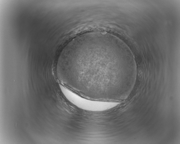 X0000070191490200606091519