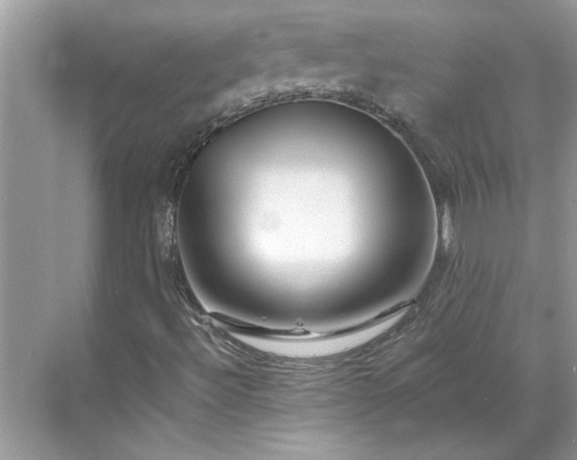 X0000070191492200606091519