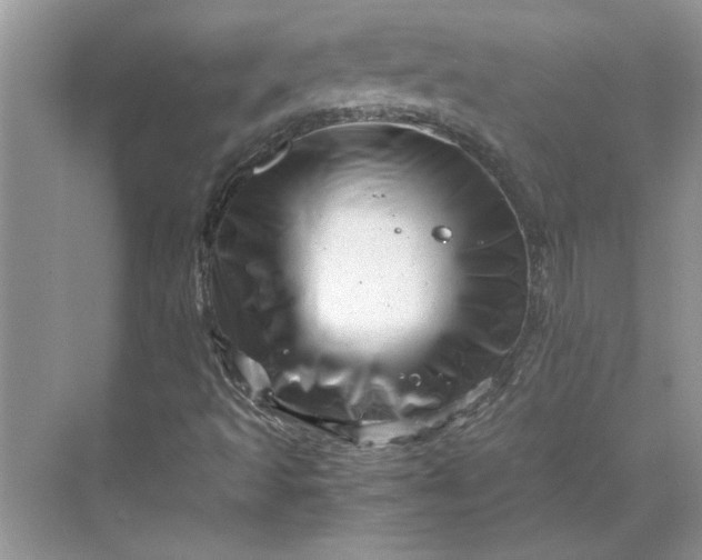 X0000070191493200606091519