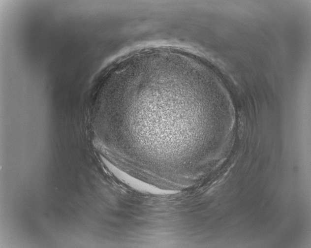 X0000070191494200606091519