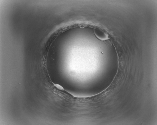 X0000070191495200606091519