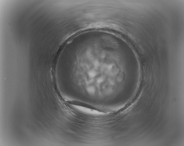 X0000070191497200606091519