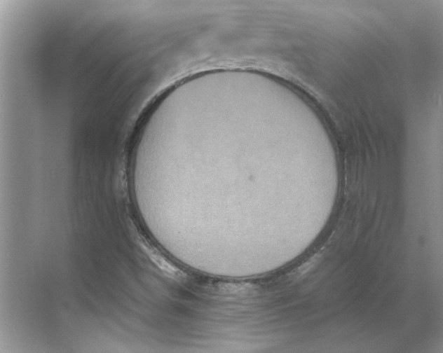 X0000070191498200606091519