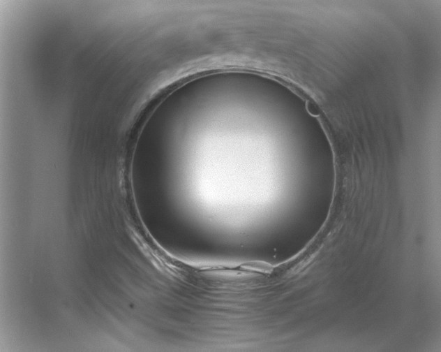 X0000070191499200606091519