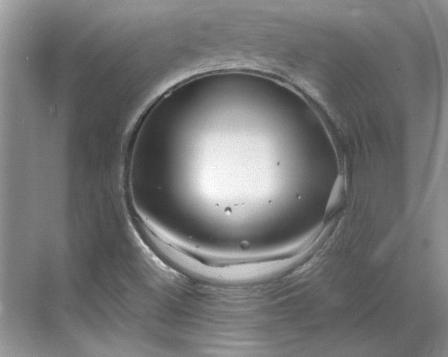 X0000070191500200606091519