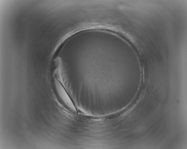 X0000070191501200606091519