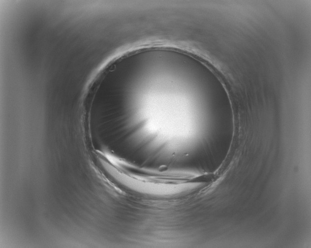 X0000070191502200606091519