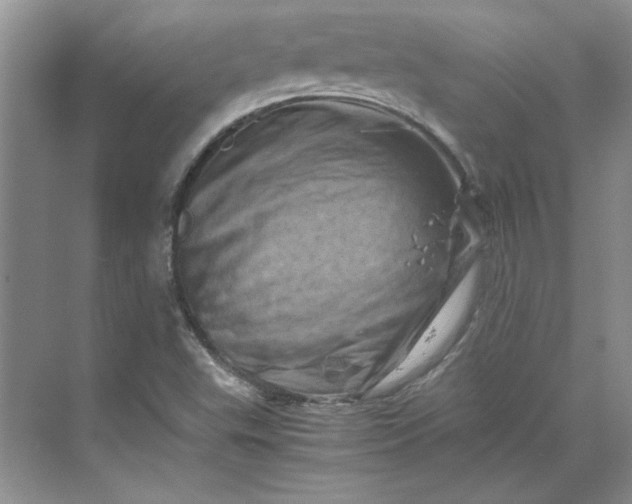 X0000070191503200606091519