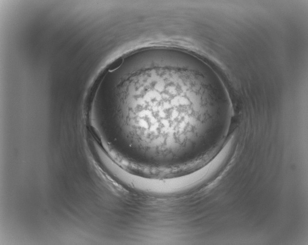 X0000070191506200606091519