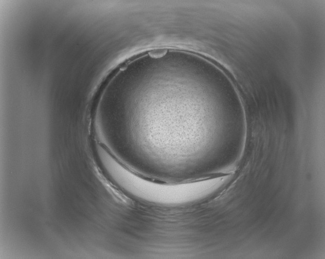 X0000070191507200606091519