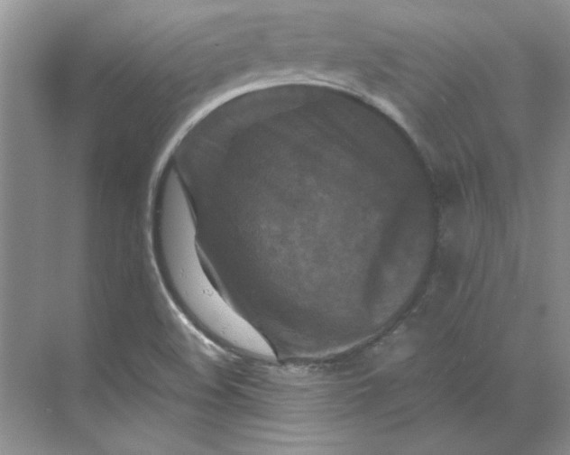 X0000070191508200606091519