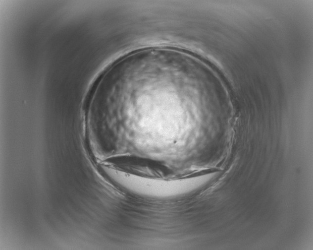 X0000070191509200606091519