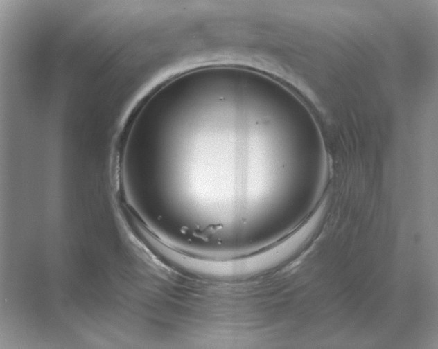 X0000070191510200606091519