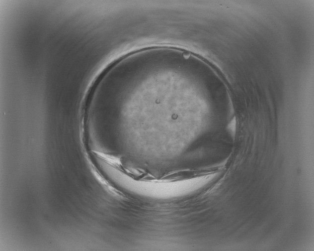 X0000070191511200606091519