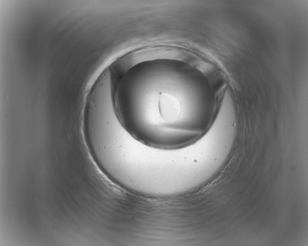 X0000070191512200606091519