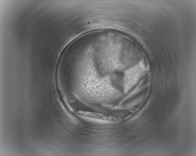 X0000070191513200606091519