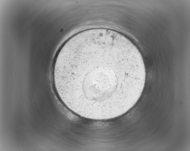 X0000070191514200606091519