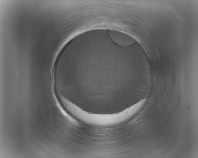 X0000070191515200606091519