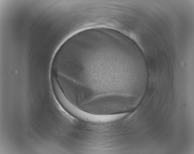 X0000070191516200606091519