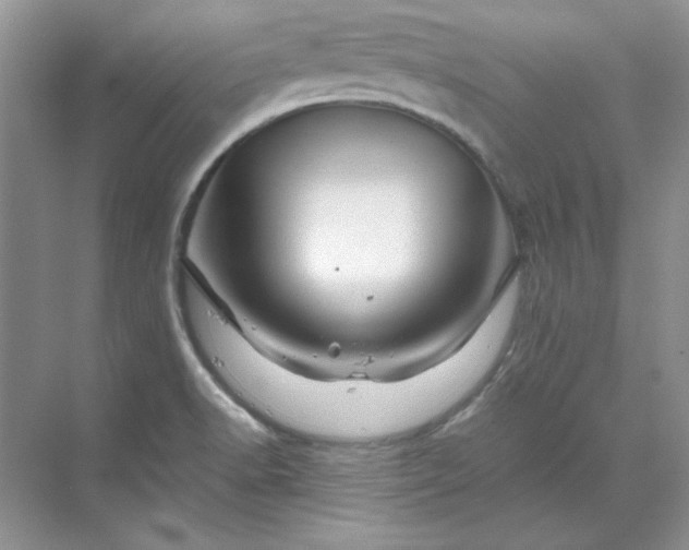 X0000070191518200606091519