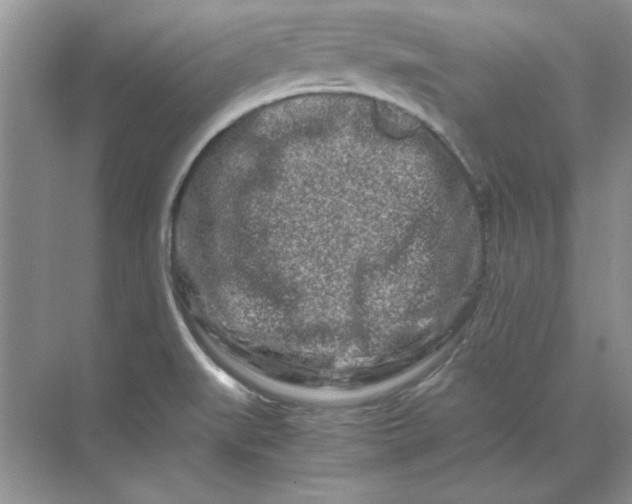 X0000070191519200606091519