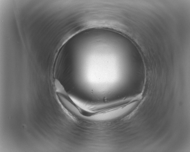 X0000070191521200606091519