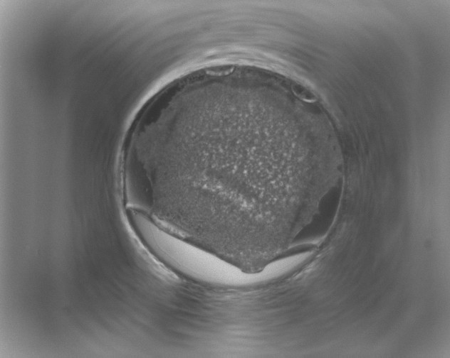 X0000070191522200606091519