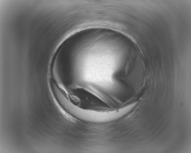 X0000070191523200606091519