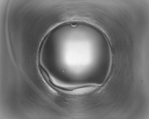 X0000070191525200606091519