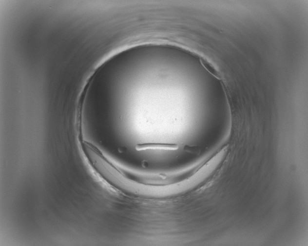 X0000070191526200606091519