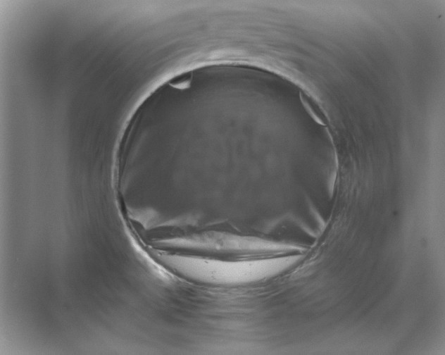 X0000070191527200606091519