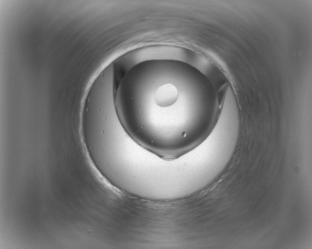 X0000070191528200606091519