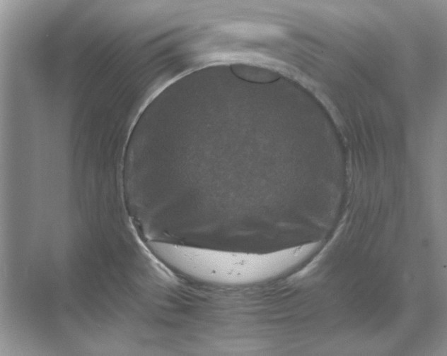 X0000070191529200606091519