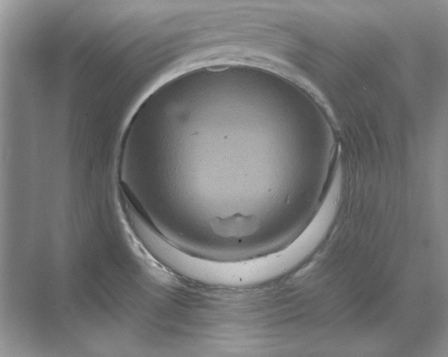 X0000070191530200606091519