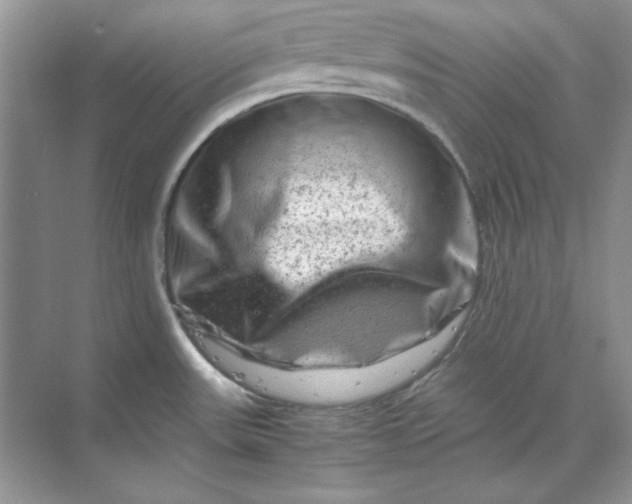 X0000070191531200606091519